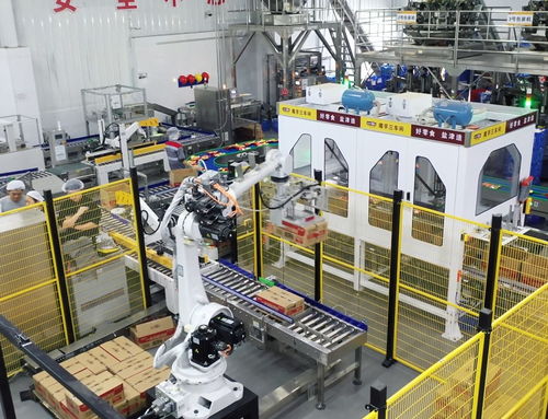 鹽津鋪子董事長張學武 以匠心與遠見，鑄就中國卓越食品制造企業(yè)